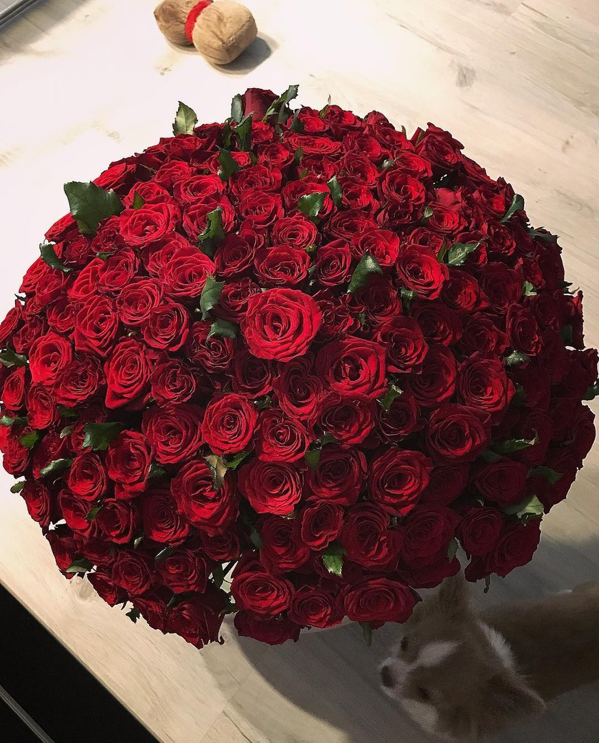 Огромный букет красных роз