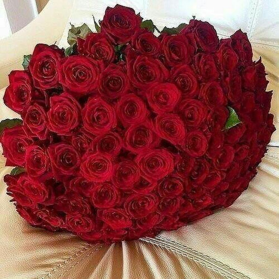 Большой букет красных роз на кровати