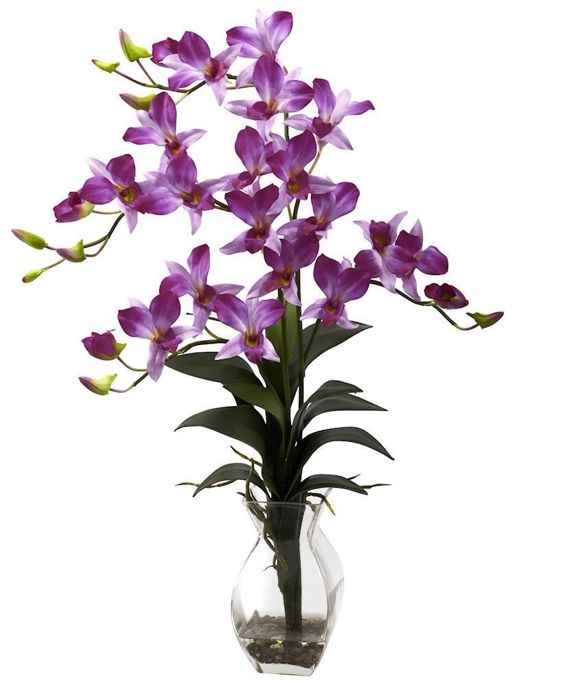 Орхидея кустовая Дендробиум