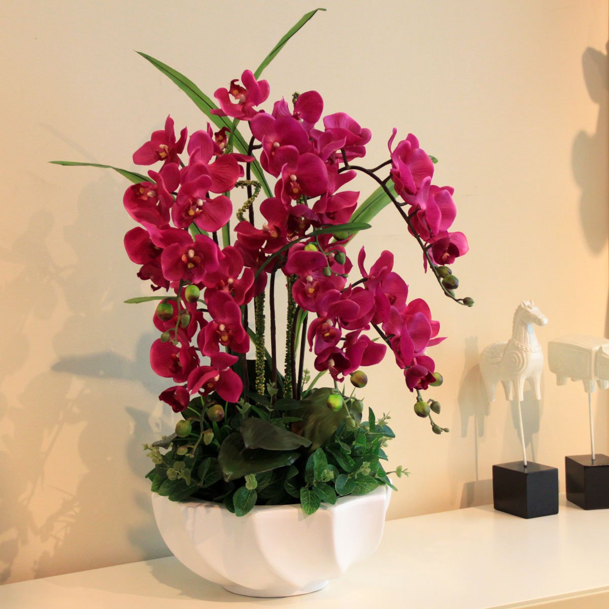 домашние цветы название и фото орхидея