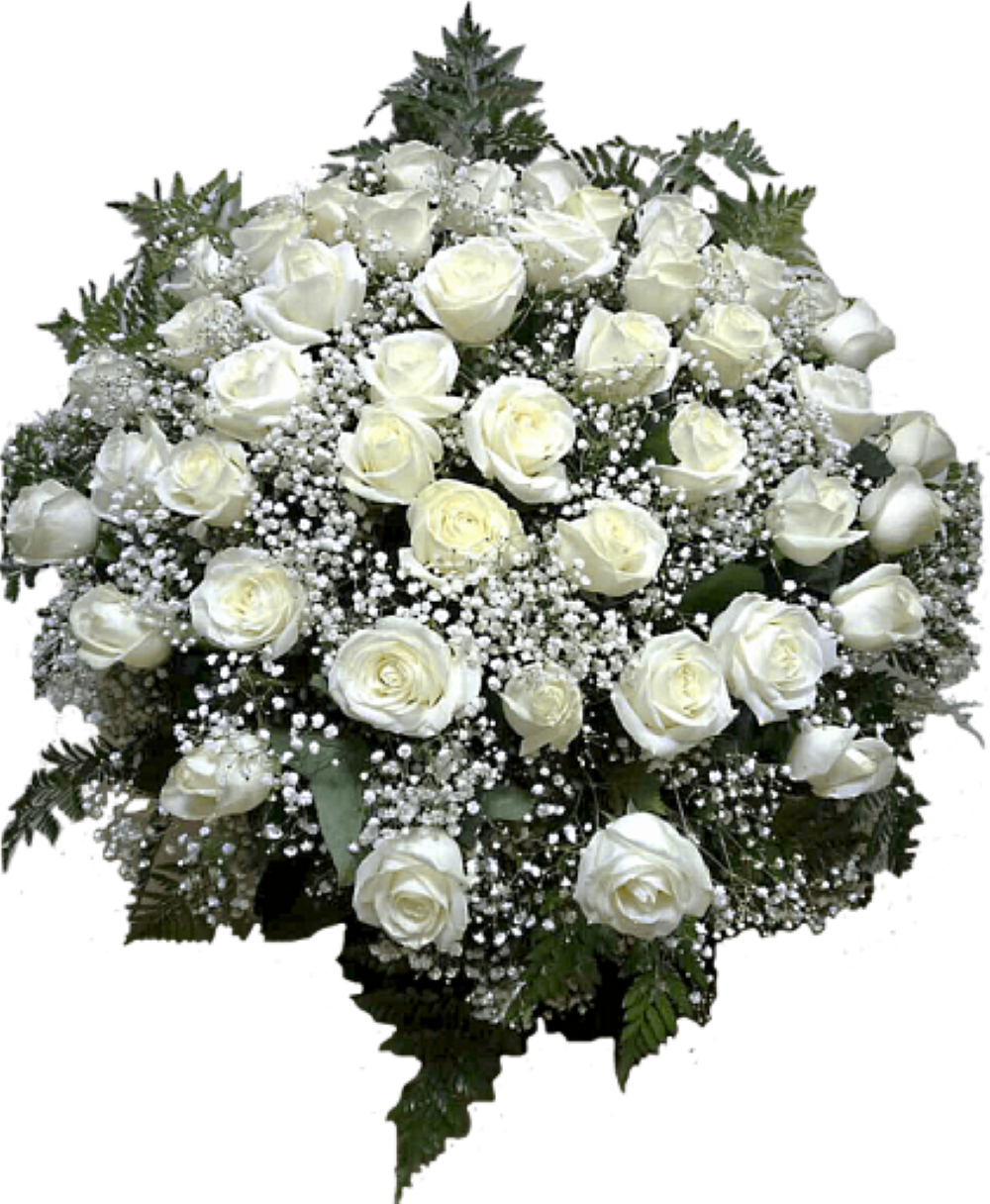 Гипсофилы с белыми розами