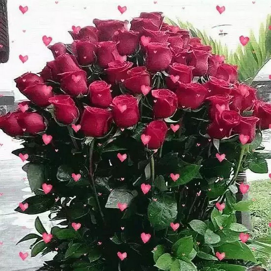 Букет роз "любимой"