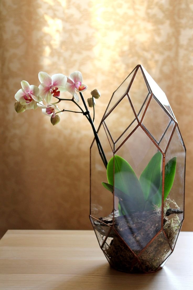 Орхидариум (флорариум с орхидеей)
