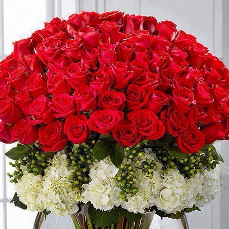 Самые красивые цветы в мире фото розы букеты