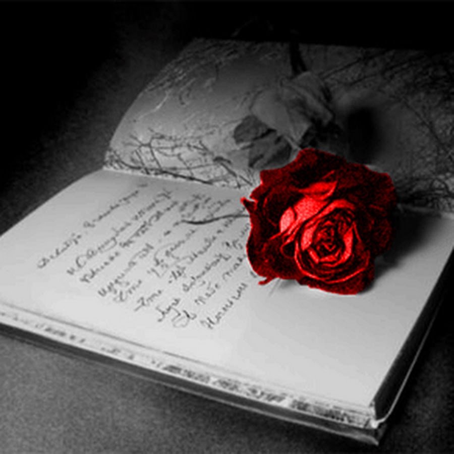 Роза поэзия