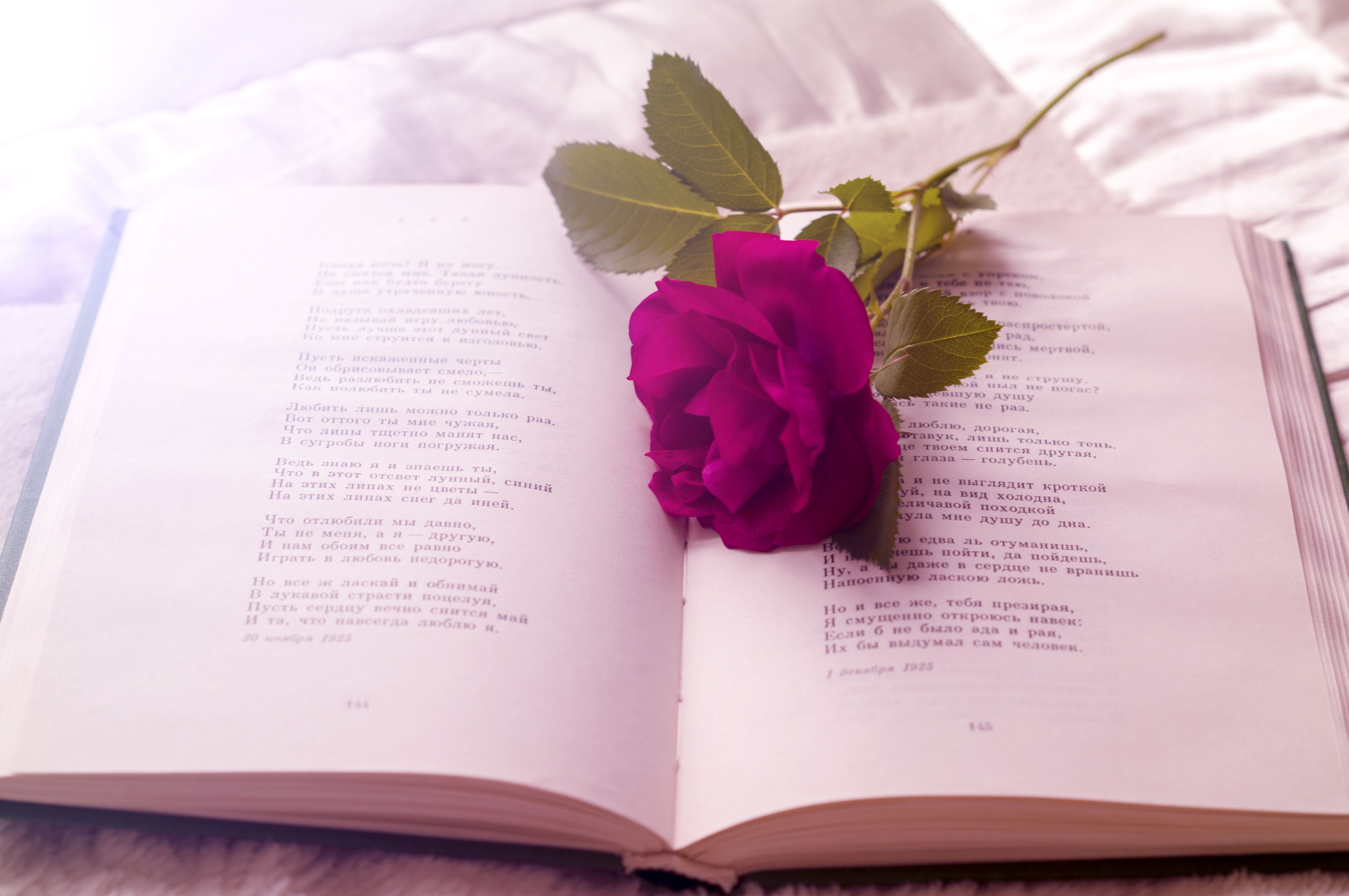 Книга про розы. Книга цветы.