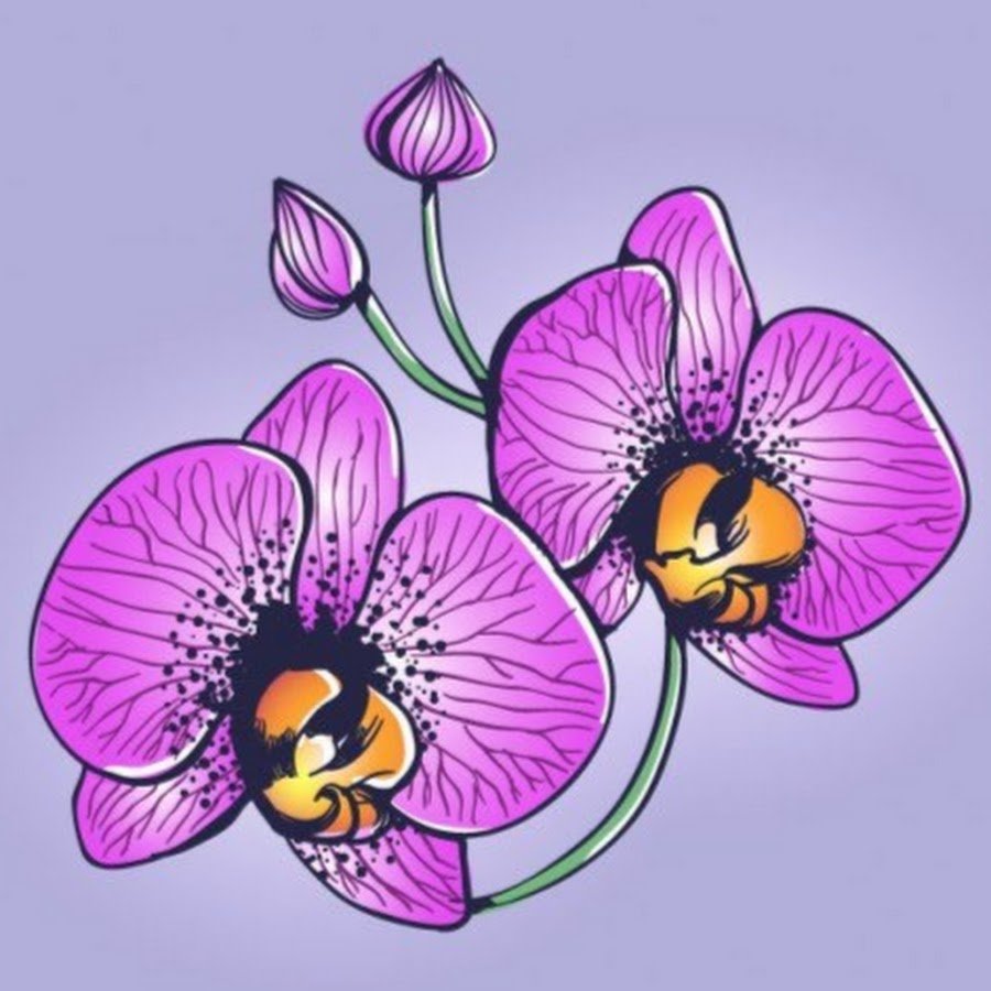 Стилизованные орхидеи