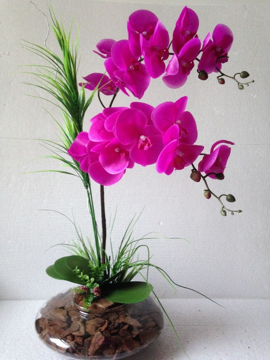 Необычные Орхидеи В Горшках