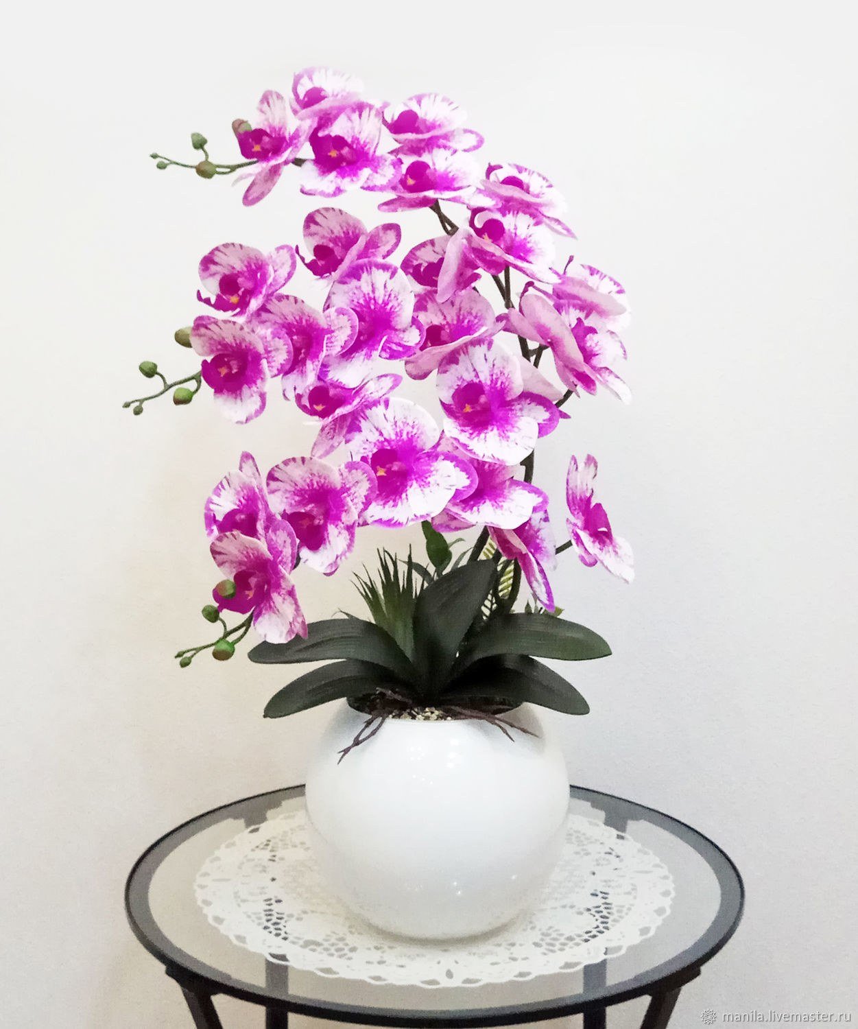 Купить цветы орхидеи в горшке. Фаленопсис Вольтера. Орхидея Дифужен. Цветы живые фаленопсис.