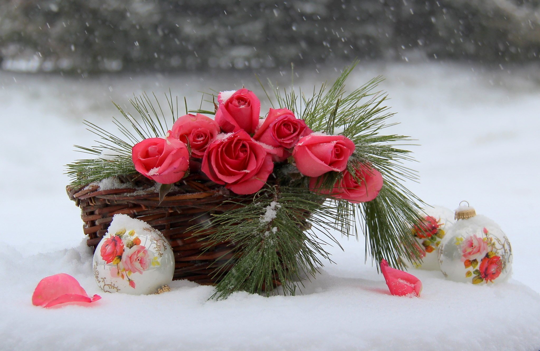 Цветок зима красивая. Зимние цветы. Красивый зимний букет. Цветы зимой. Красивые зимние цветы.