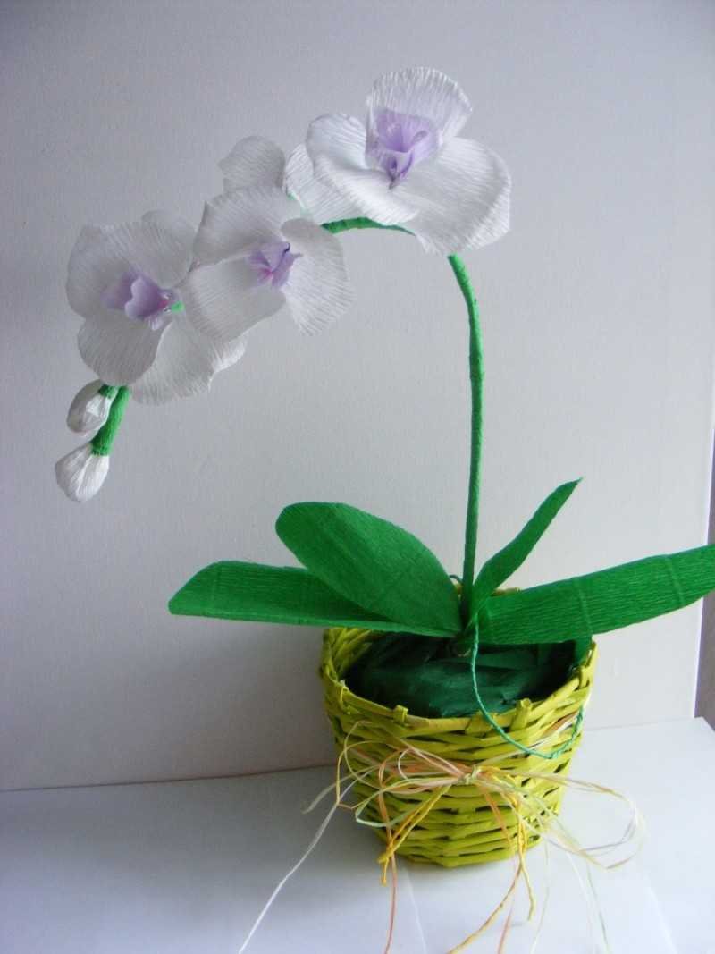 Орхидея из сахарной мастики мастер класс