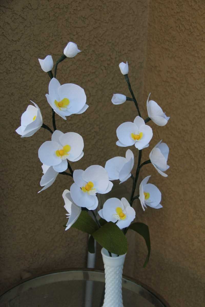 Орхидея фаленопсис мастер класс