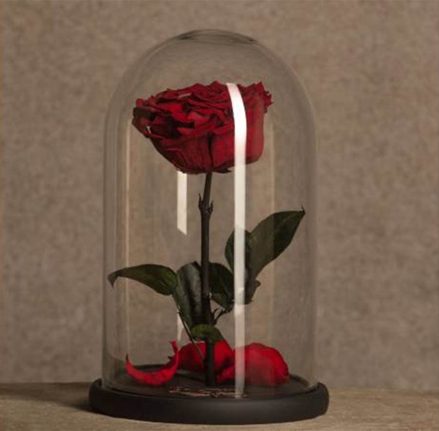 Вечная роза в стеклянной колбе
