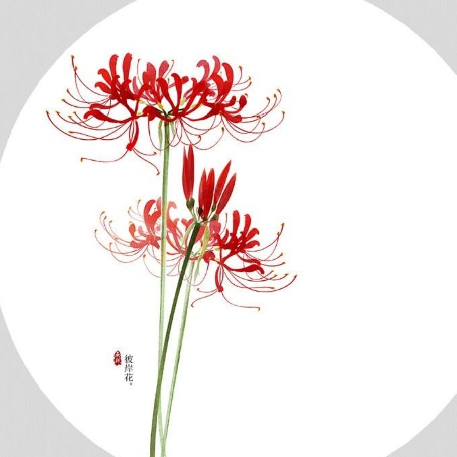 Ликорис цветок Токийский гуль