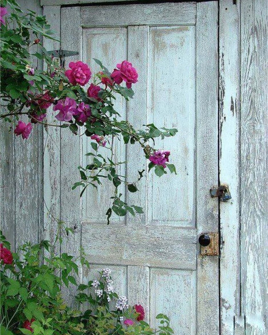Старая дверь в цветах