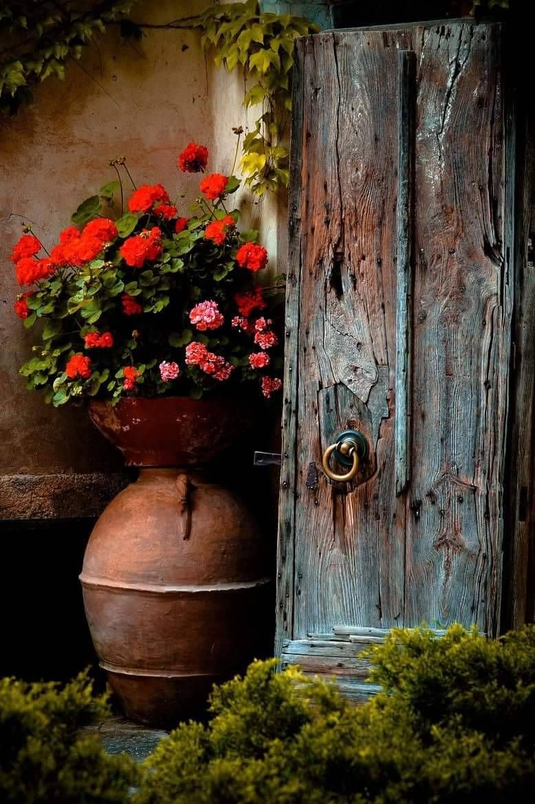 Дверь цветы