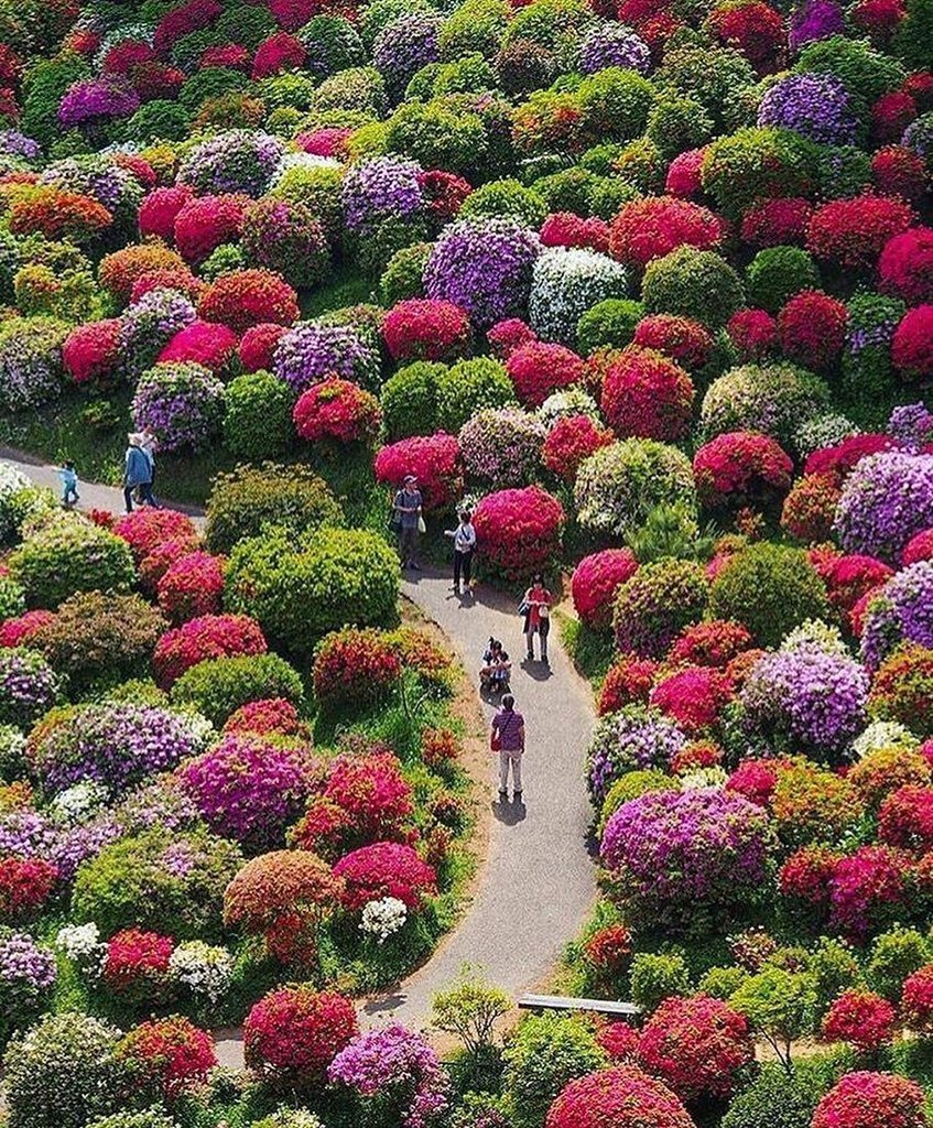 Цветочные сады мира