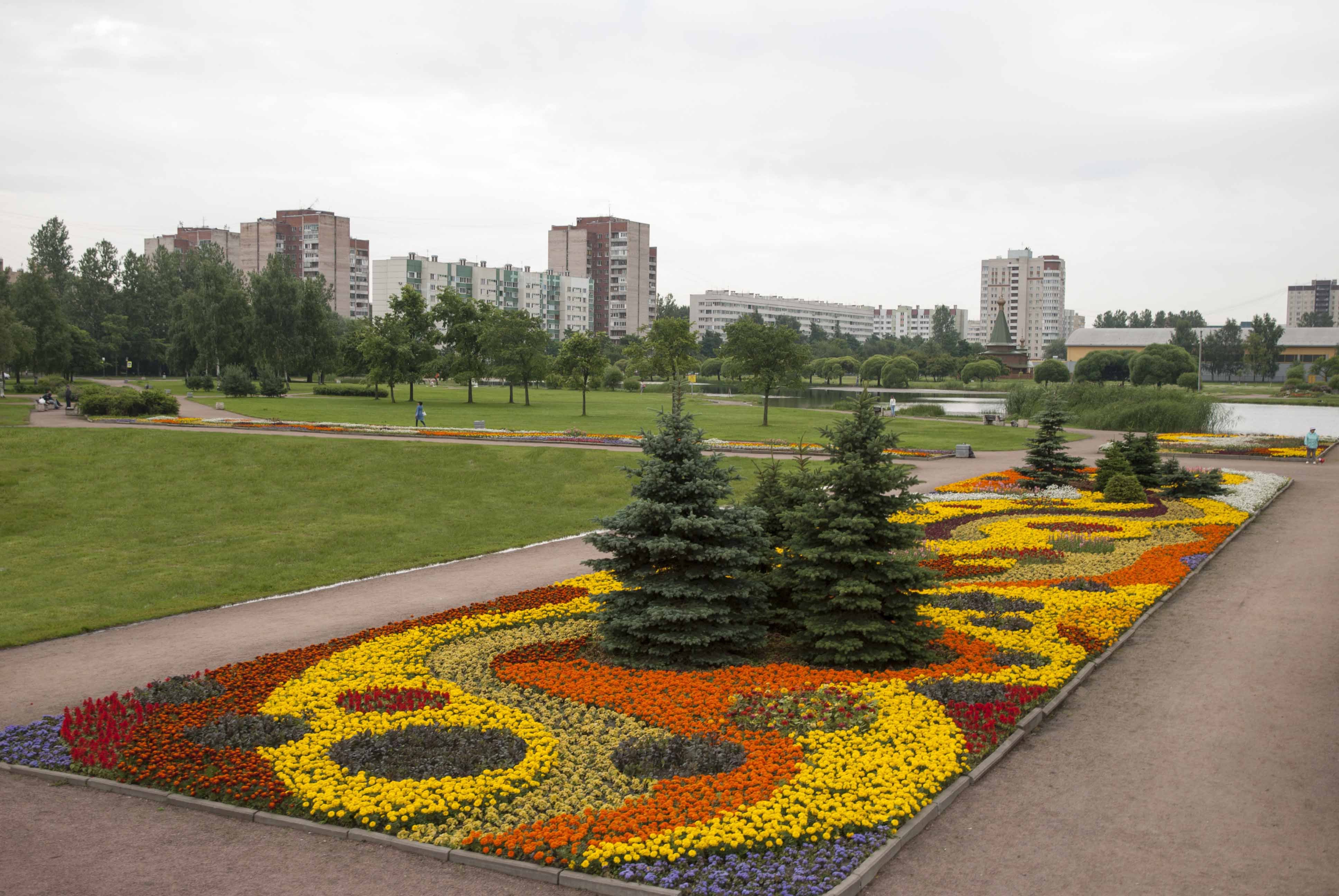 Городская клумба фото. Сквер на Демьяна бедного парк цветов СПБ. Парк Горького цветники. Сквер на Демьяна бедного парк цветов СПБ пруд.