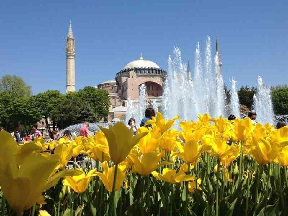 Istanbul festival