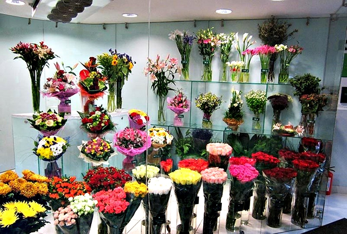 Цветочный магазин каменск. Цветы в цветочном магазине. Ассортимент цветов в цветочном. Цветы магазинные. Ассортимент цветов в цветочном магазине.