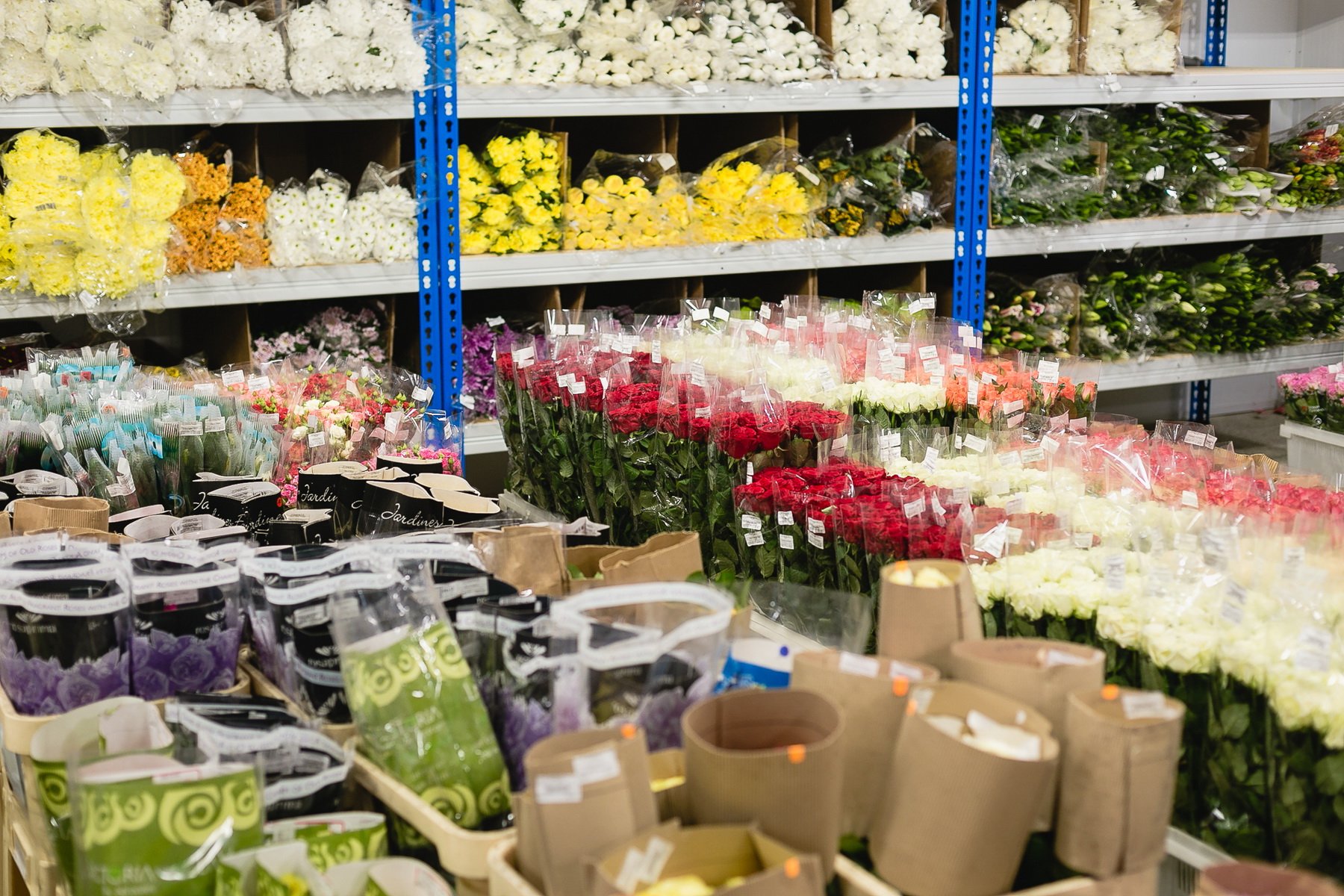 Купить Цветы Оптом В Новосибирске Дешево