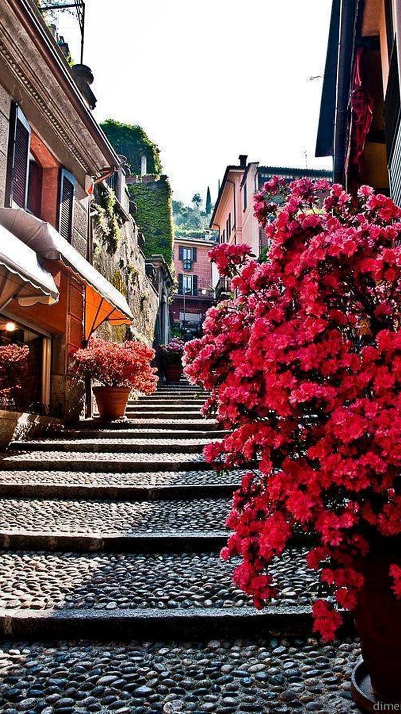 Белладжио Италия. Цветущие деревья