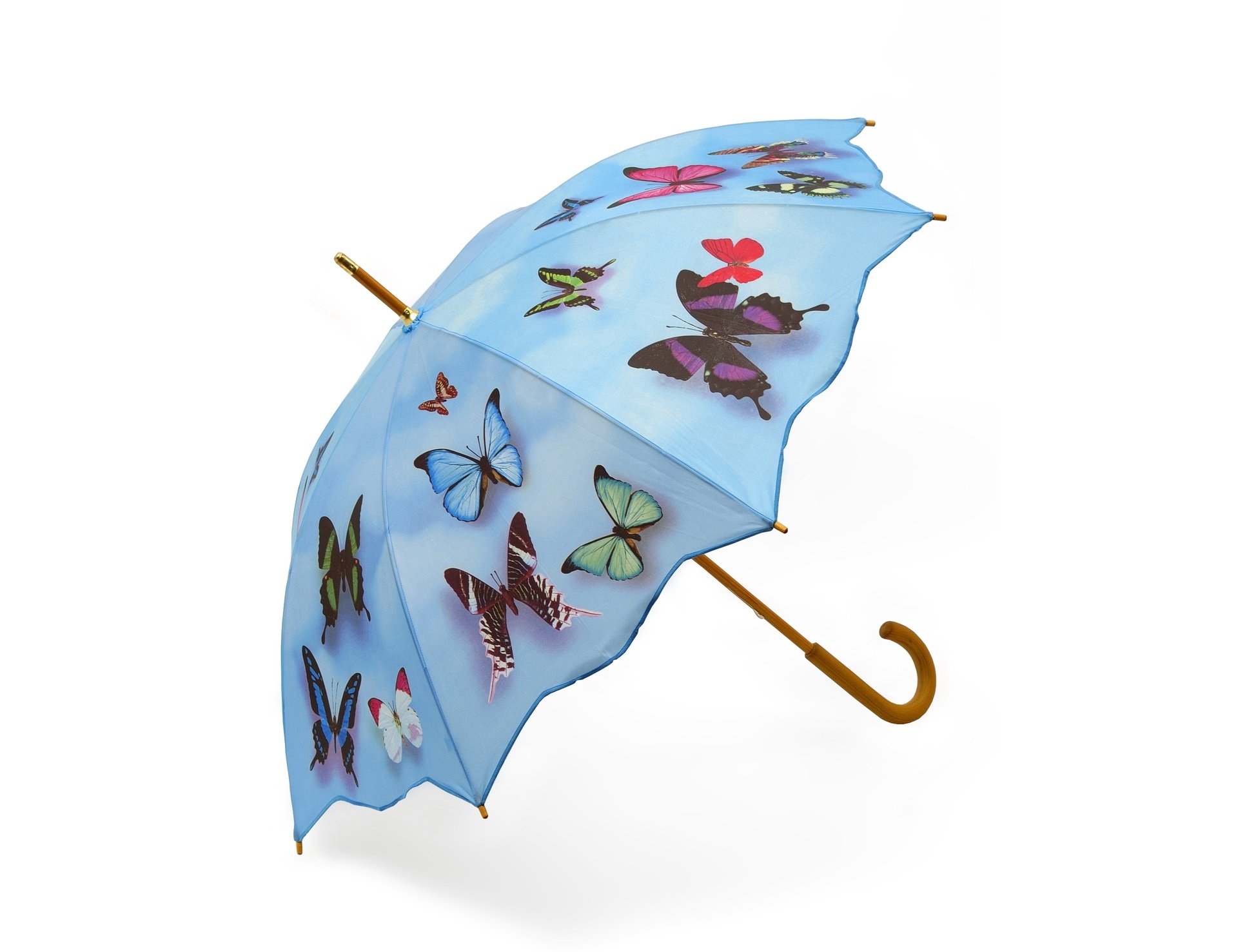 Открытка зонтик. Зонтик. Детские зонтики. Зонт детский. Зонт бабочка.
