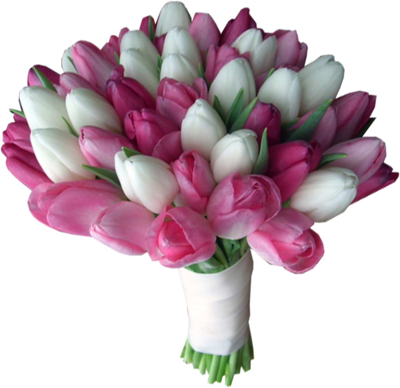Тюльпаны Букет Цветов Мыла