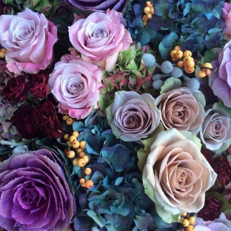 Фиолетовые Роскошные цветы