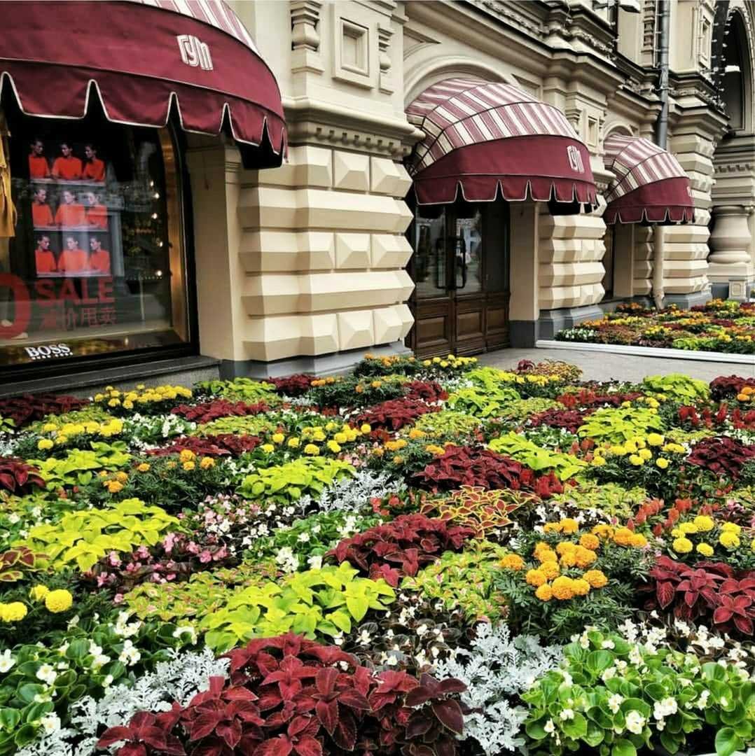 Фестиваль цветов в ГУМЕ. Фестиваль цветов в Москве 2021. Цветы ГУМ Москва. Клумбы у гума.