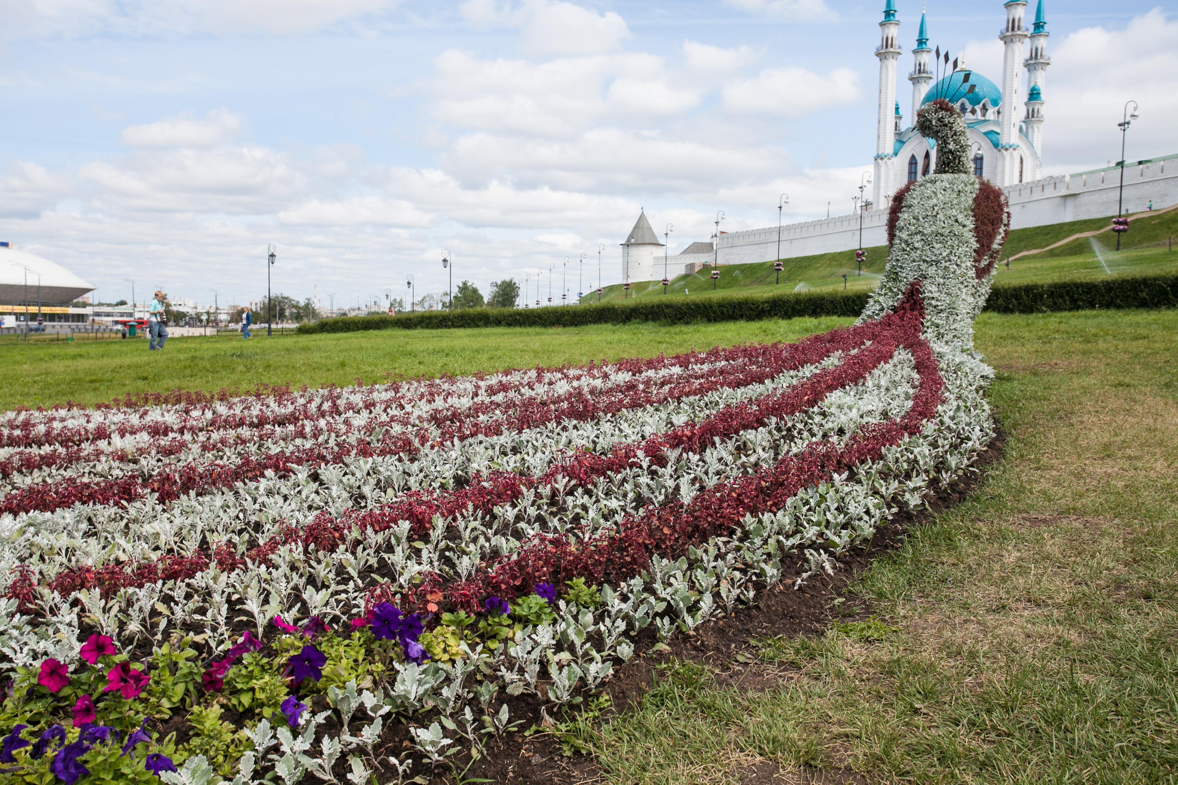 Где Можно Купить Цветы Казань