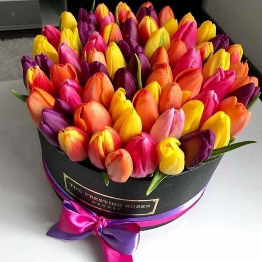 Красивые тюльпаны в коробке