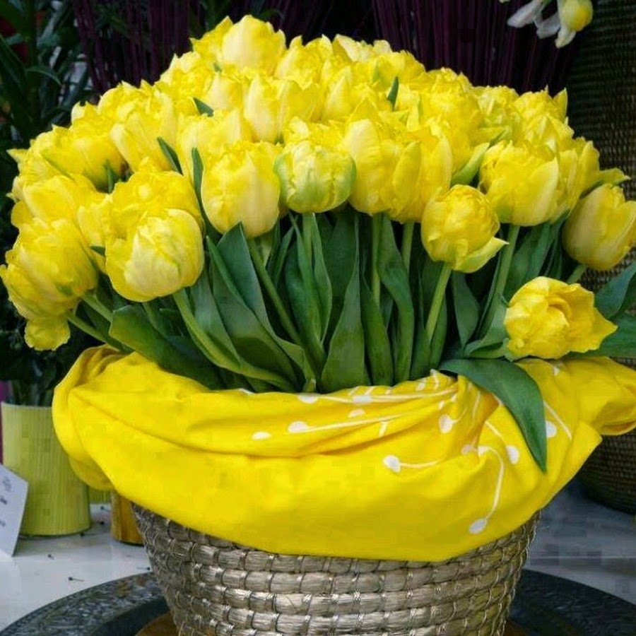 Букет желтых тюльпанов с днем рождения