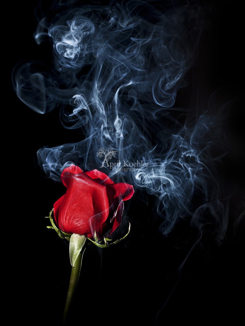 Цветы в дыму