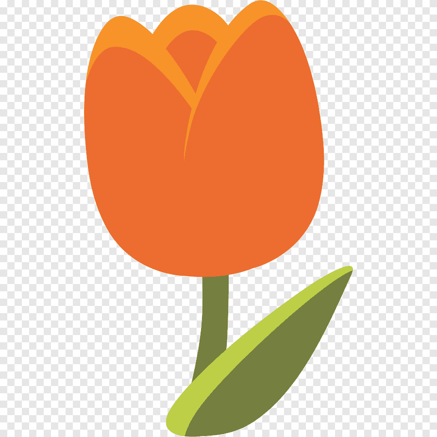 Цветок тюльпан для детей