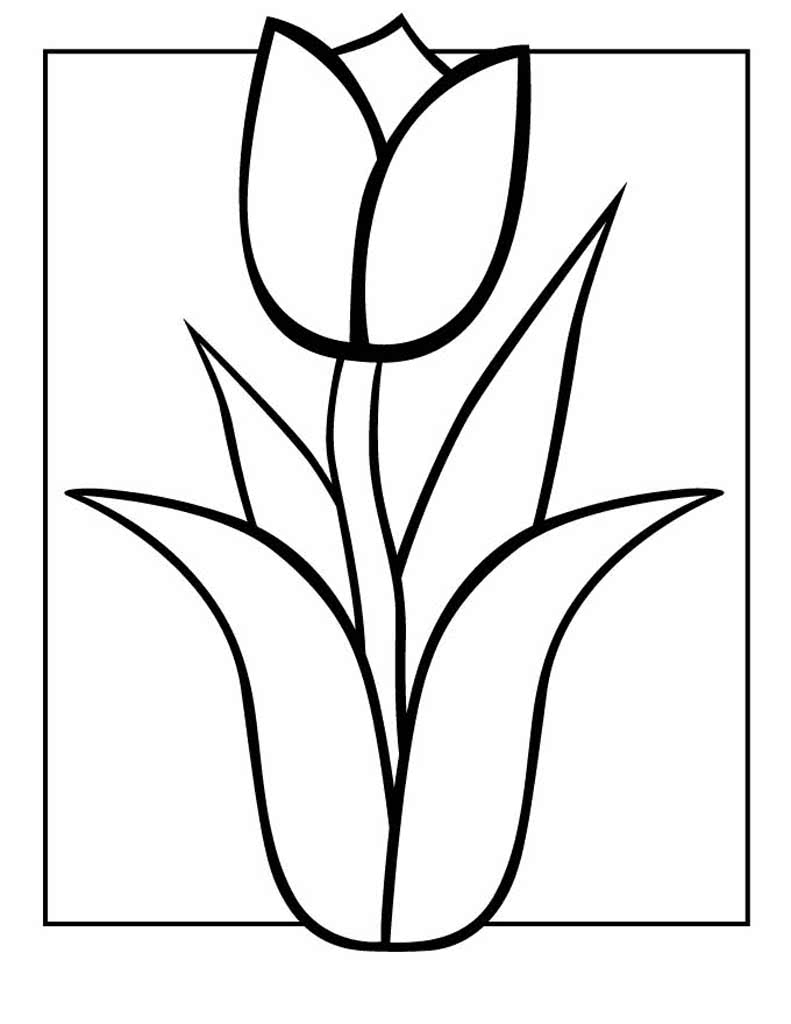 Выкройка тюльпана из фоамирана