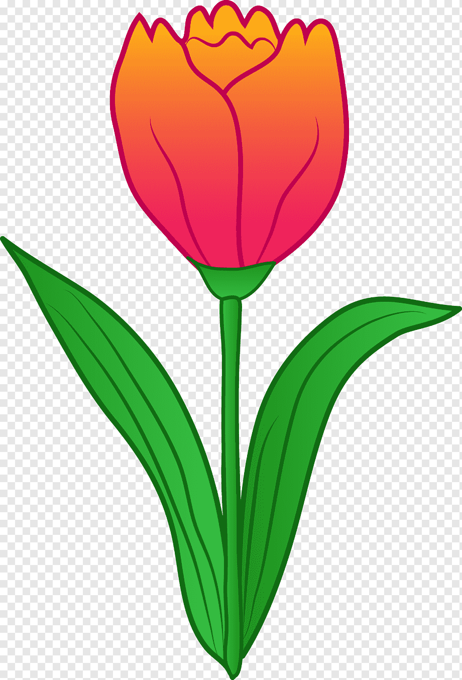 Попугайный тюльпан из фоамирана