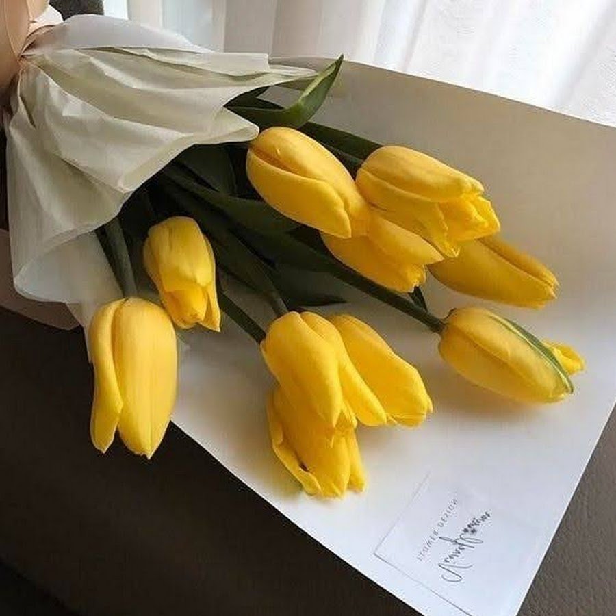 Желтые тюльпаны Эстетика