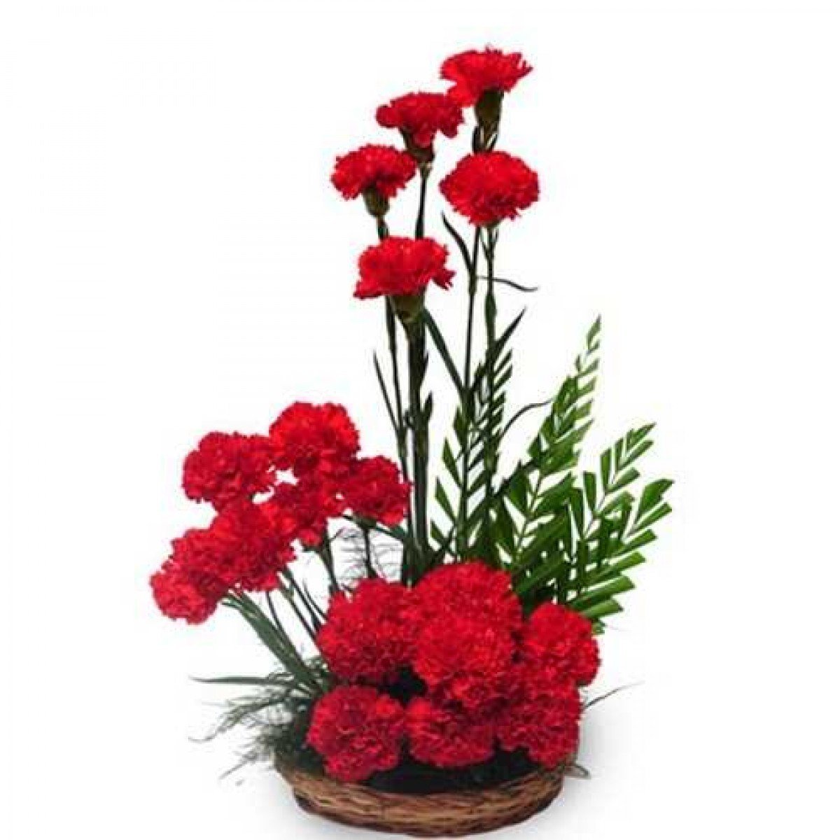 Гвоздика Ikebana