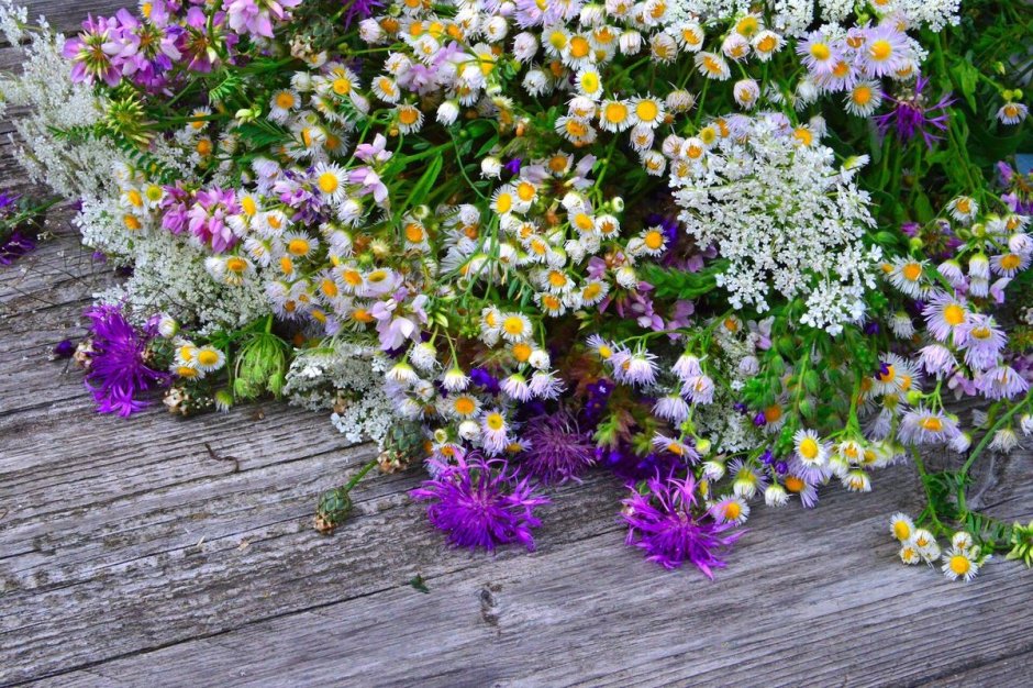 Фотообои букет летних цветов