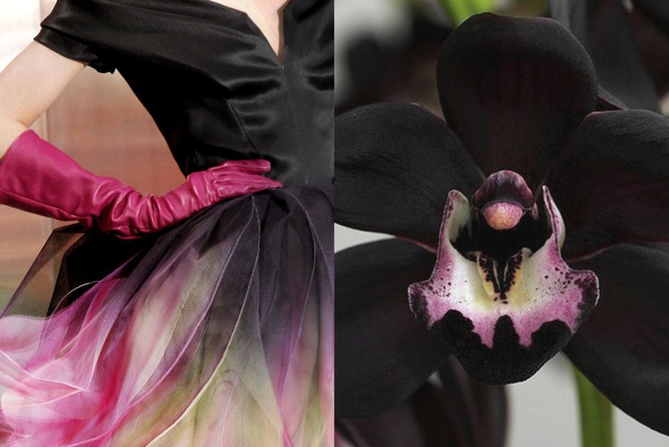 Орхидея акриловыми красками