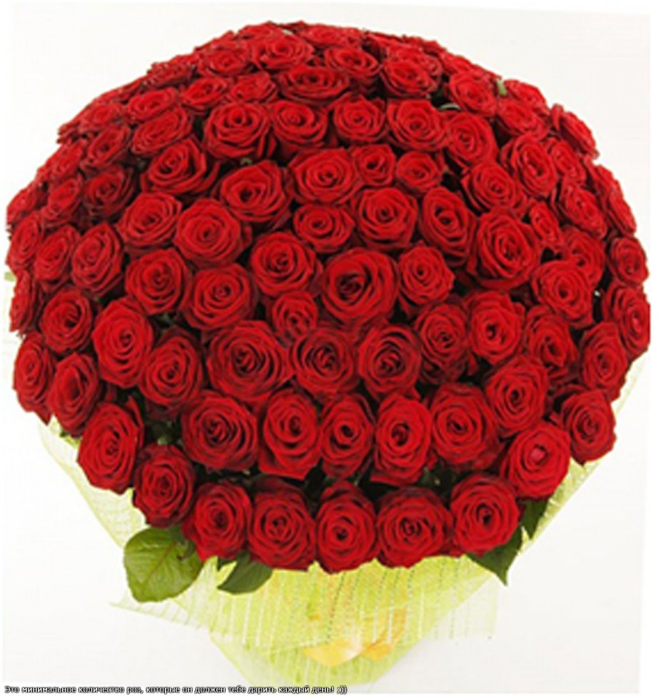Огромный букет красных роз с днем рождения