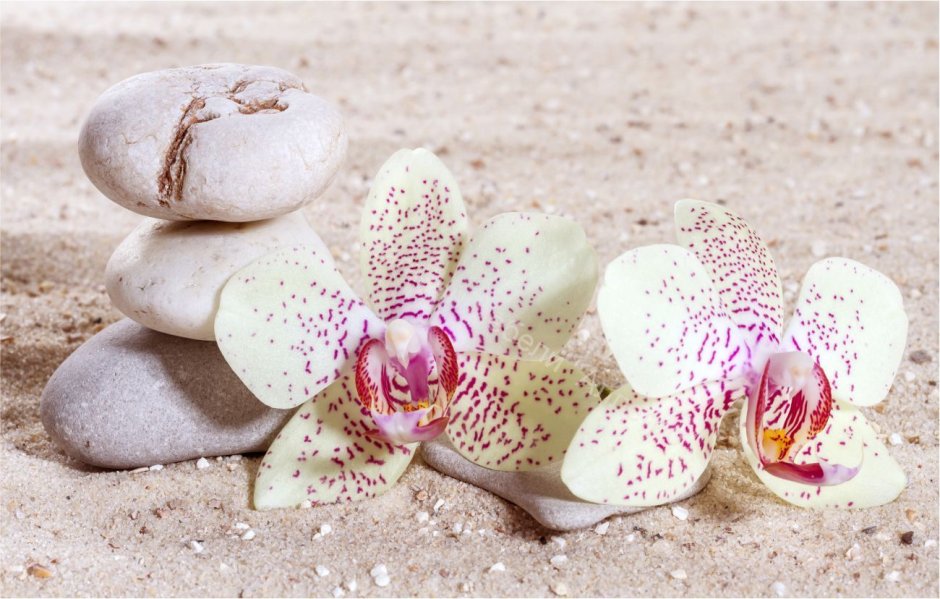 Брошь Орхидея из бисера