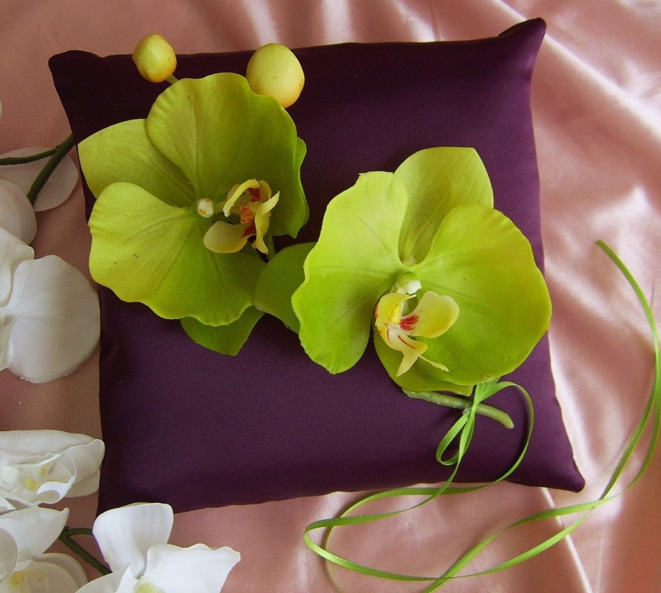 Орхидея Цимбидиум фисташка