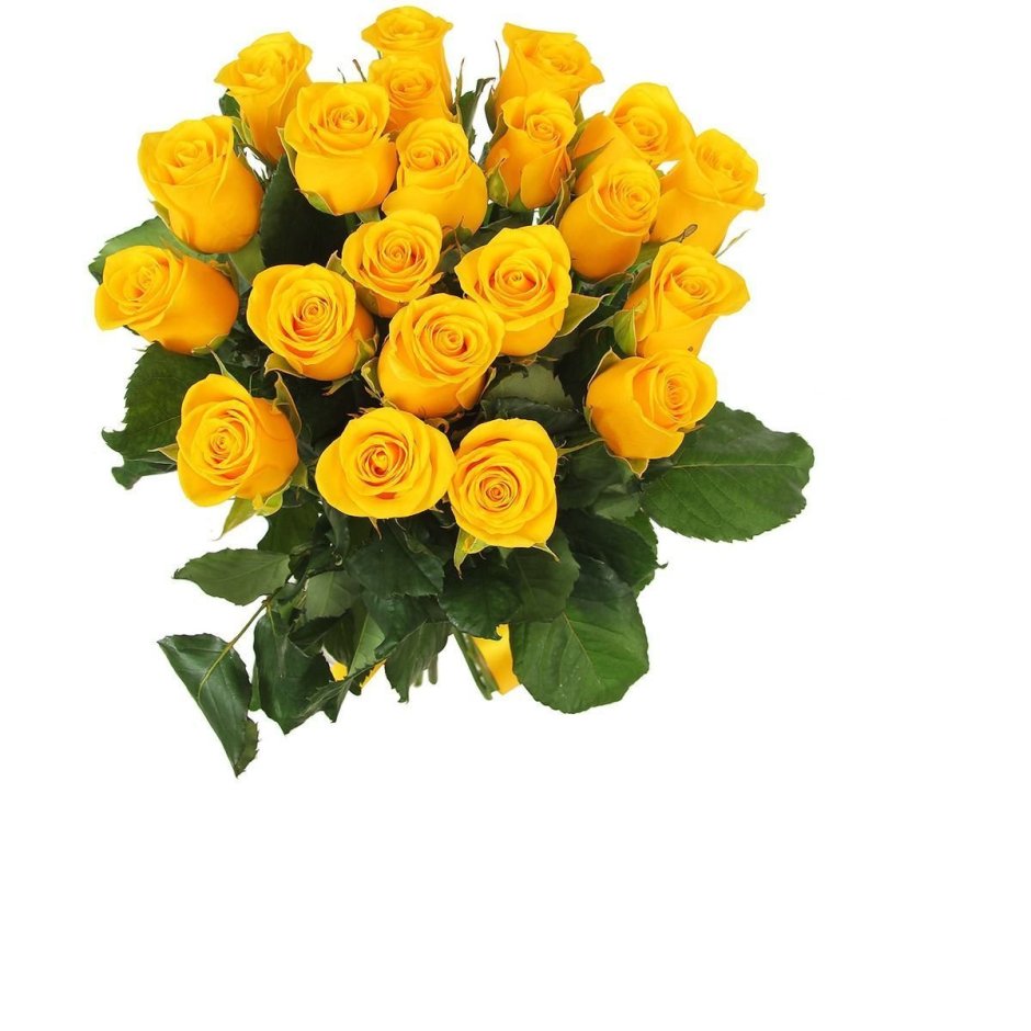25 Желтых роз