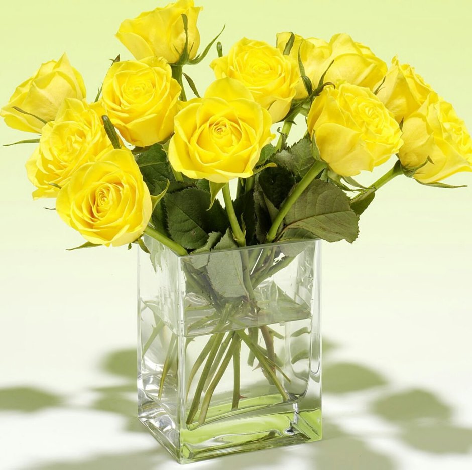 Желтые розы в вазе