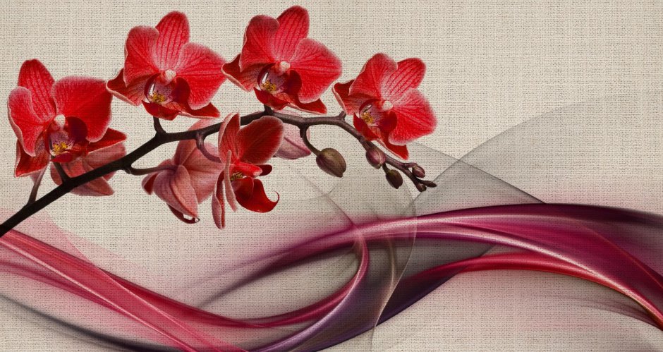 Обои текстура Орхидея