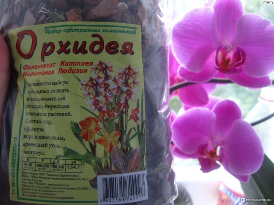Лекарства для орхидеи фаленопсис