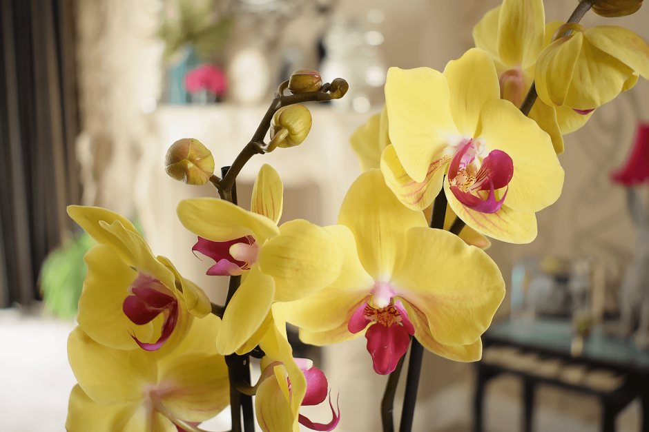 Орхидея из изолона светильник