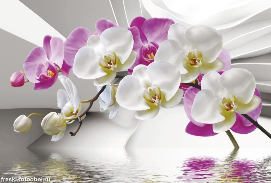 Фреска орхидеи